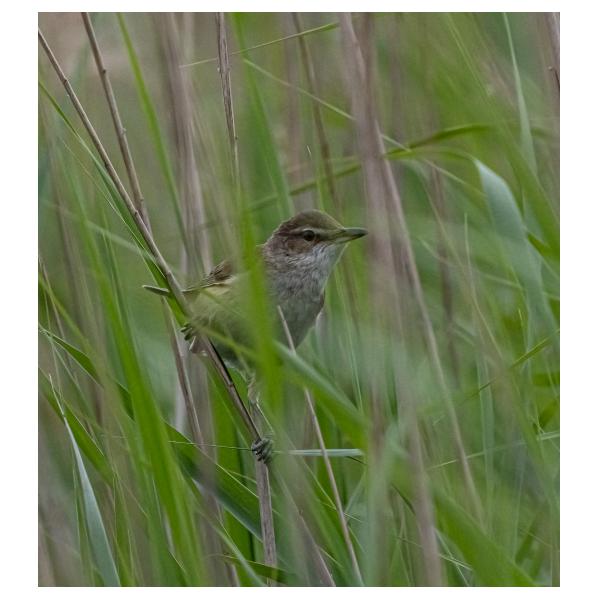 PHOTO84, CLUB, 84 , LUBERON